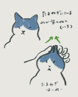 日日細細