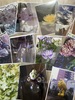 写真プリント