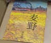 麦野