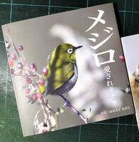 メジロ 愛されキャラ