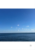 海