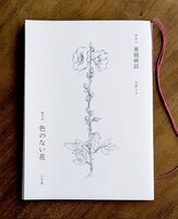素描画誌 創刊号 色のない花