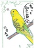 ちょっと読んでみない?
