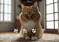 猫のポストカード