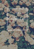 Curtain Call