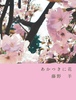 あかつきに花