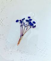 押し花栞(紫かすみ草)