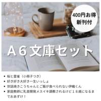 A6文庫セット