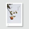 写真歌集『うつろい』