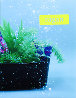 ragan no.34 Grass of Water