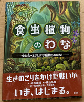 食虫植物のわな