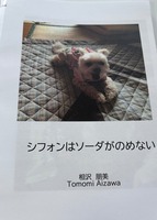シフォンはソーダがのめない