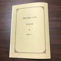 彼女は鳥かごの中 試し読み版