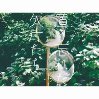 置き忘れた欠片たち