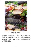 きのこ会議ノ噺