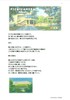 【最新作】小説「空に続く」(PICNICAMERA)