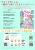 無料配布フライヤー