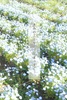 きみのことを思ってまっすぐ