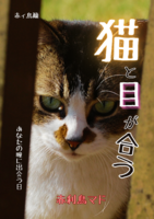 猫と目が合う ーあなたの瞳に出会う日ー