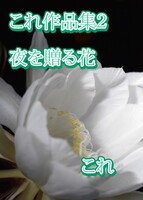 これ作品集2 夜を贈る花