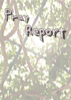 Pray Report