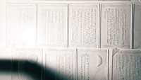 月光生(書籍透明標本)