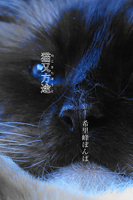 猫又方途 Kindle版