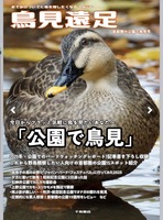 鳥見遠足(公園号)