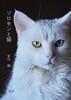 ソロモンと猫