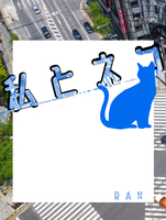 私とネコ
