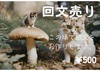 回文売り