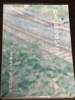 取るに足らないこと 王生らてぃ百合短篇集