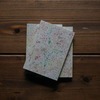 THE DAYS OF aru【2刷】