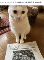 城田すず子さんと出会ったその先に