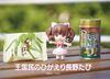 王国民のひがえり長野たび