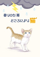 曇りのち雨ところにより猫