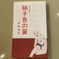 硝子色の翼(玩具探偵2巻)