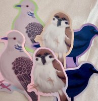 野鳥シール(3×2種)