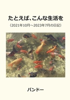 たとえば、こんな生活を