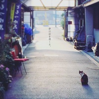 夢日記を書くよ。