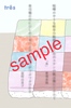 短歌「糖花〈こんふぇいと〉」第三巻