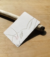 うさぎの葉書