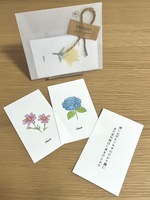 花と短歌のミニカード「四季とシユ」