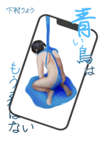 青い鳥はもう飛ばない