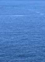 海