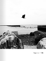 Tape : 6