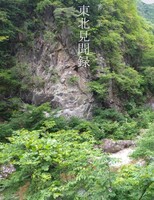 東北見聞録
