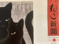 月刊『ねこ新聞』2019年11月号