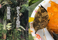 からくり絵本