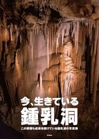 今、生きている鍾乳洞